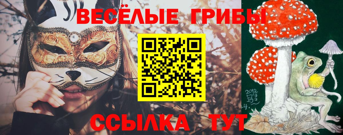 Псилоцибиновые грибы прущие грибы Радужный
